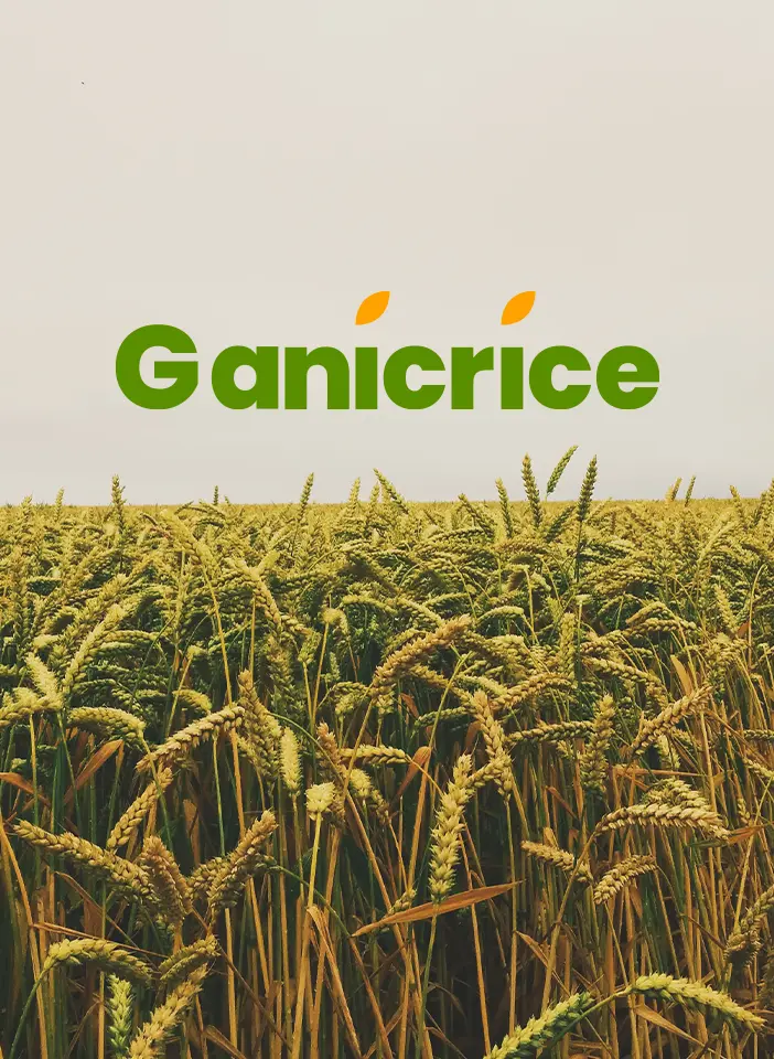 ganicrice-brand-guidelines